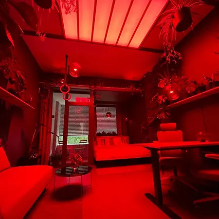 Revitalizer - A Calm Oasis In The Center Of Apartmán *